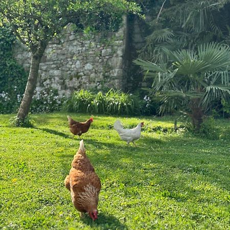 B&B Antico Fienile Gorizia Bagian luar foto