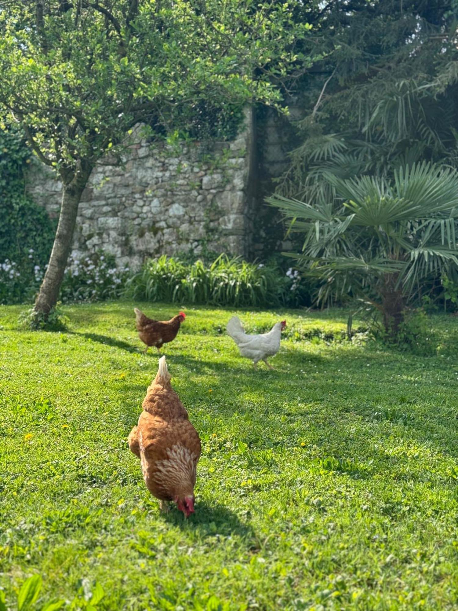 B&B Antico Fienile Gorizia Bagian luar foto